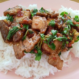 ข้าวราดกระเพราหมูกรอบ