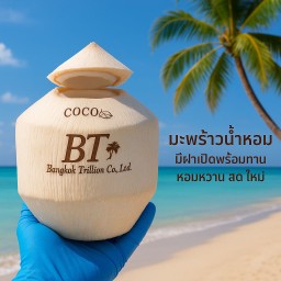 2 ลูก มะพร้าวน้ำหอม หอมหวาน สดใหม่