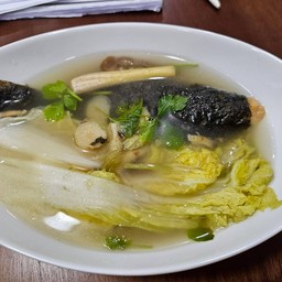 ปลาแปะซะ