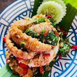 ข้าวราดผัดกะเพรากั้ง