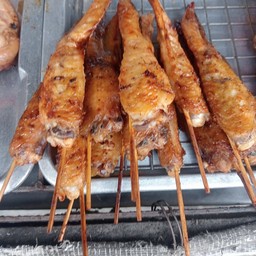 ปีกปลาย