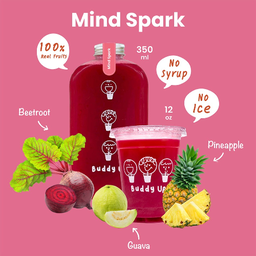 C05 Mind Spark