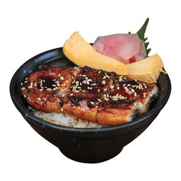 ข้าวหน้าปลาไหล