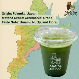 Yame Pure Matcha (Special Serve)