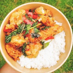 หนังไก่กรอบกะเพาราดข้าว