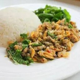 ข้าวราดเนื้อหอยลายพริกสดผัดใบโหระพา