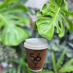 ชาเขียวนมสด(ร้อน)