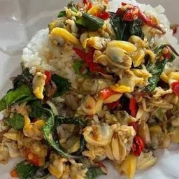 ข้าวราดกะเพราหอยลาย