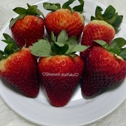 ไดฟูกุ (Daifuku shimmii 🍓)