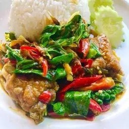 ข้าวราดกะเพราปลากระพง