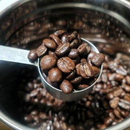 ชลิบาร์