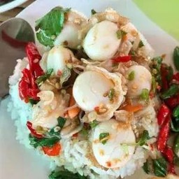 กะเพราหอยเชลล์ราดข้าว