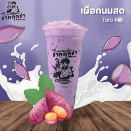 เผือกนมสด