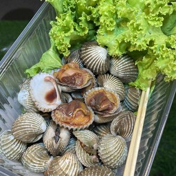 หอยแครงเลือด 1 กิโลกรัม