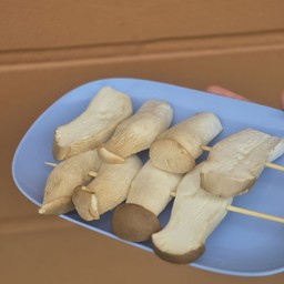 เห็ดนางรมหลวง