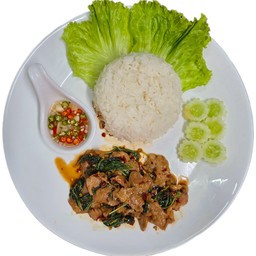 กระเพราหมูชิ้น