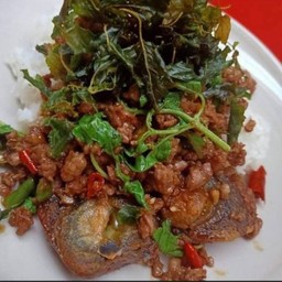 ข้าวไข่เยี่ยวม้ากระเพรากรอบ