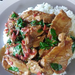 กระเพราหมูชิ้น