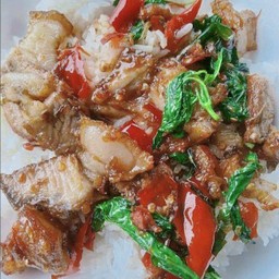 ข้าวกระเพราหมูกรอบ