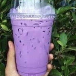 เผือก