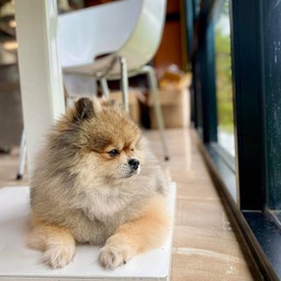 เจ้าของร้านนนน