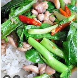ข้าวคะน้าไก่