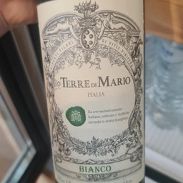Terre di Mario white (Bottle)