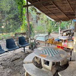 กะเพราหมูทอด