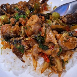 ผัดเผ็ดกบสาว