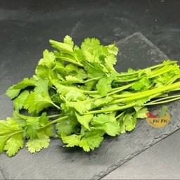 ผักชีต้น 把香菜