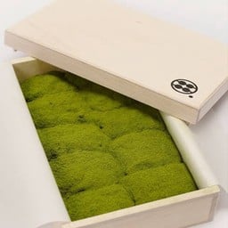 วาราบิโมจิ 10 ชิ้น รสมัทฉะ (กล่องไม้)