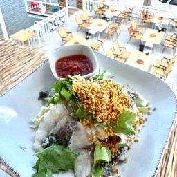 ปลากะพงลวกจิ้ม