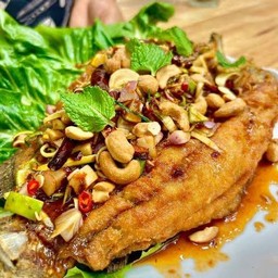 ปลากะพงลุยสวน