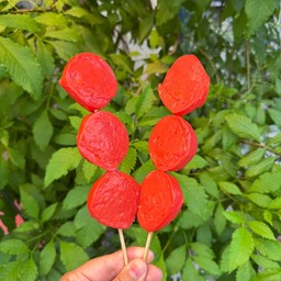 โบโลน่าพริก