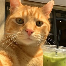 มัทฉะมะพร้าว