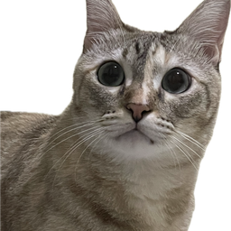 Purr•ri Matcha ปิ่นเกล้า