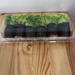 Homemade bakery wichu428