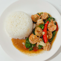 ข้าวราดผัดกระเพรากุ้ง