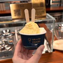 Gelato Combo