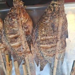 ปลานิลย่างจั้มโบ้มากๆ