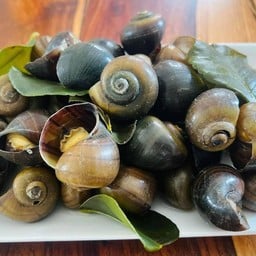 หอยลวกจิ้ม