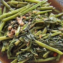 ผัดผักบุ้ง