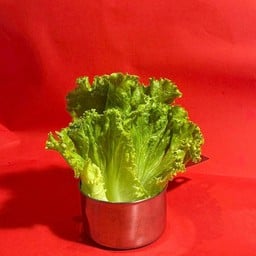 MENU_3380640Gn_1755419874