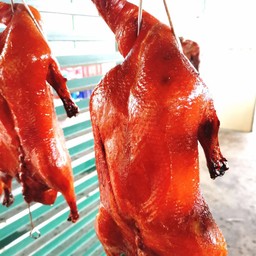 เป็ดย่าง ครึ่งตัว