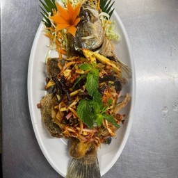 ปลากระพงลุยสวน