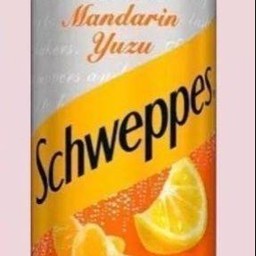 ชเวปส์ แมนดารินยูซุ สูตรไม่มีน้ำตาล กระป๋อง 325 ml + น้ำแข็ง 1 แก้ว