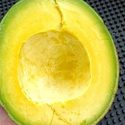 อโวคาโดปั่นนมหมี