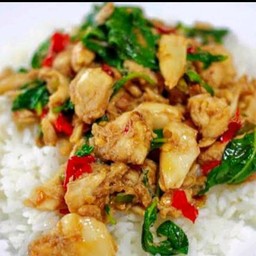 กะเพราไก่ราดข้าว