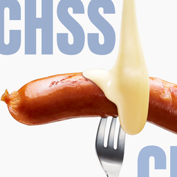 Cheese sausageX4