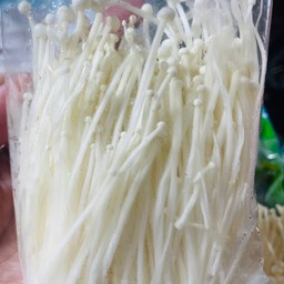 เห็ดเข็มทอง